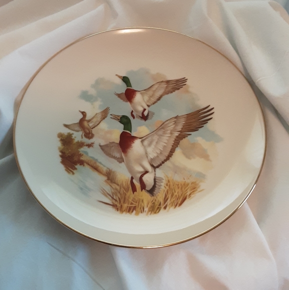 Vintage gold rimmed plate - Picture 1 of 3